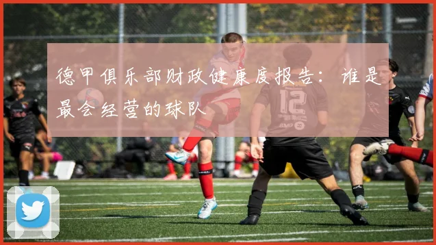 德甲俱乐部财政健康度报告：谁是最会经营的球队