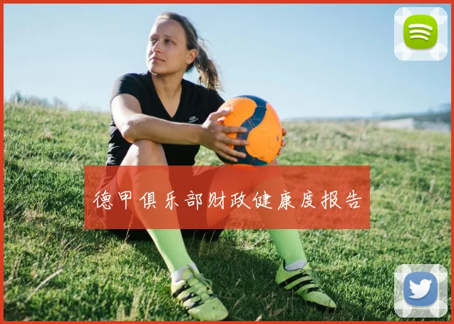德甲俱乐部财政健康度报告