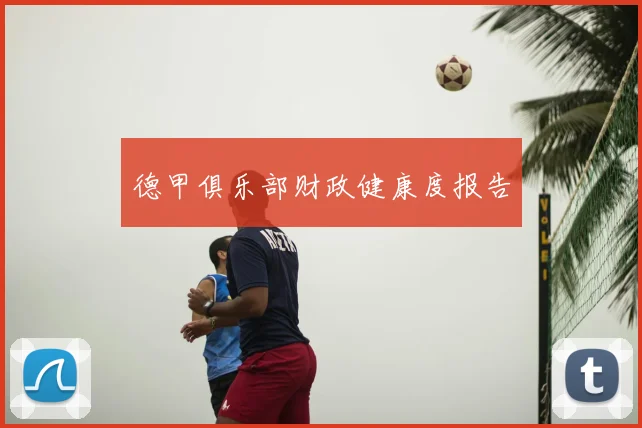 德甲俱乐部财政健康度报告